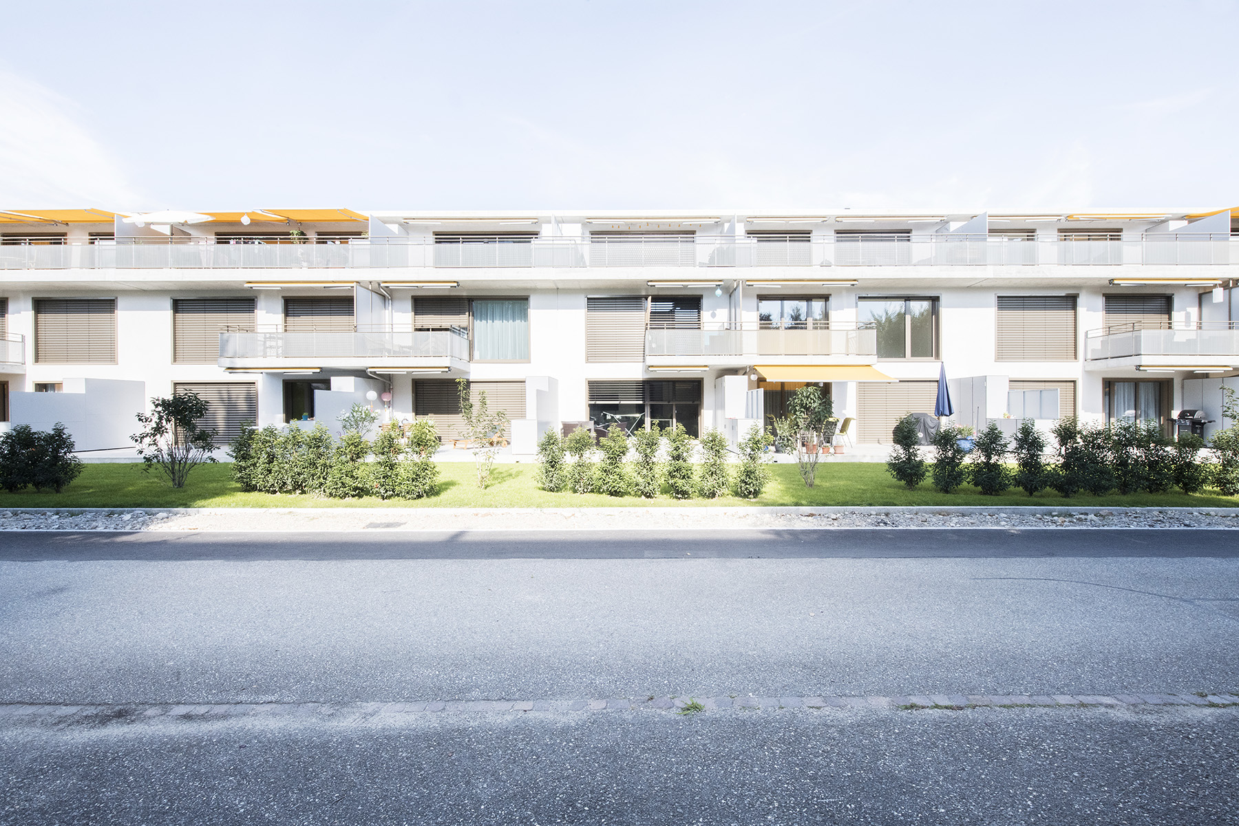 MFH Derendingen
